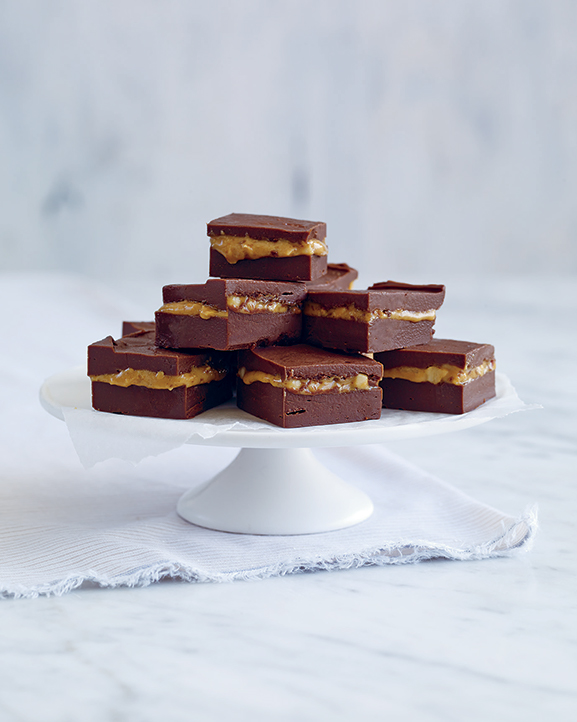 Special Fudge