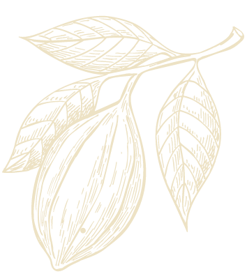 parallax_bean
