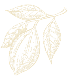 parallax_bean