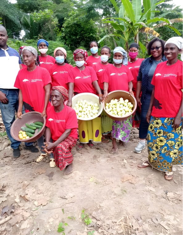 Image of Farms in Ivory Coast