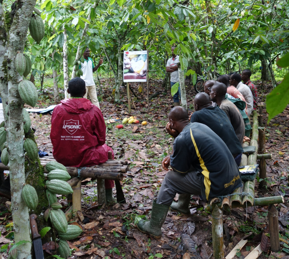 Homepage Cultivate Better more square